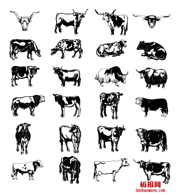 牛系列简笔画