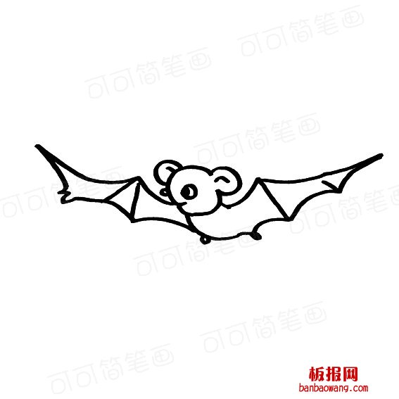 蝙蝠的简单画法哺乳类动物