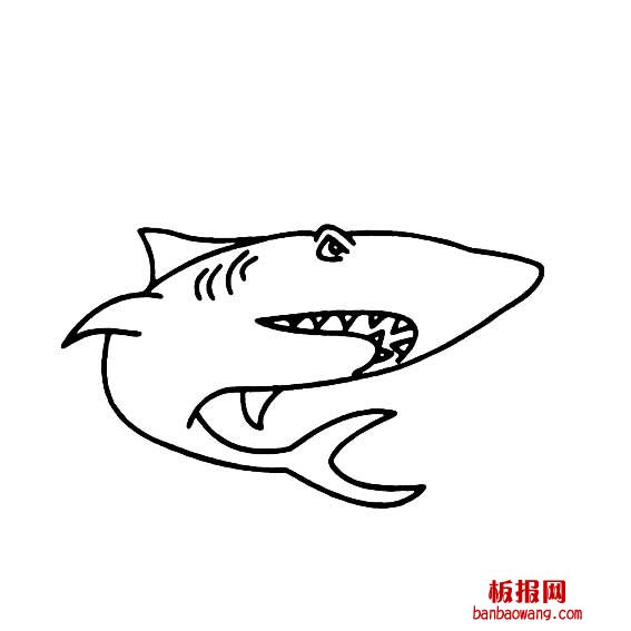 鲨鱼的画法可怕的鲨鱼简单画法