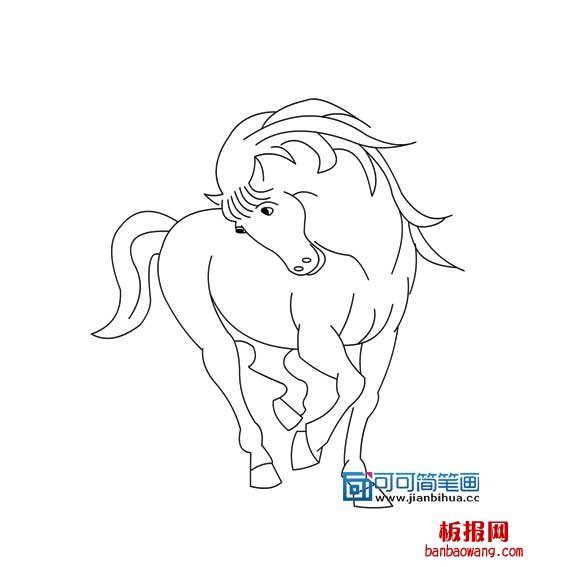 小马的简单画法画一匹骏马