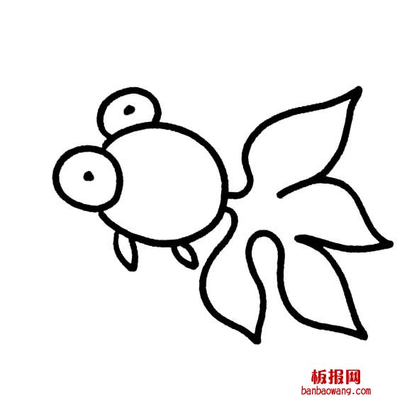 金鱼的简单画法画一条金鱼