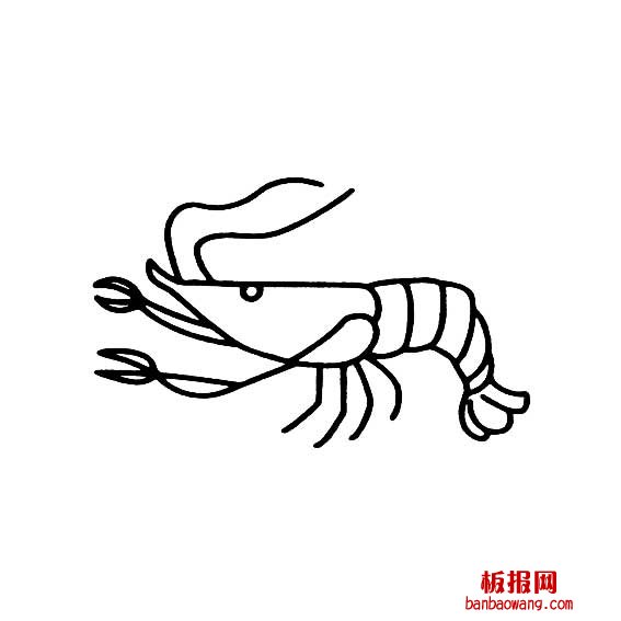 小虾的简笔画法