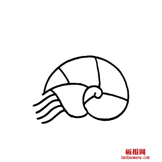 海螺的简单画法
