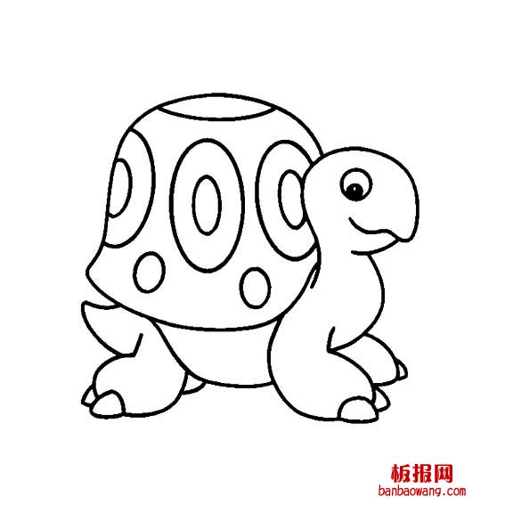 画一只大个头的海龟
