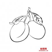 桃子简笔画水果类