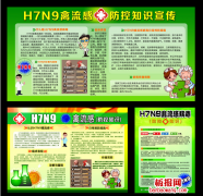 h7n9禽流感板报