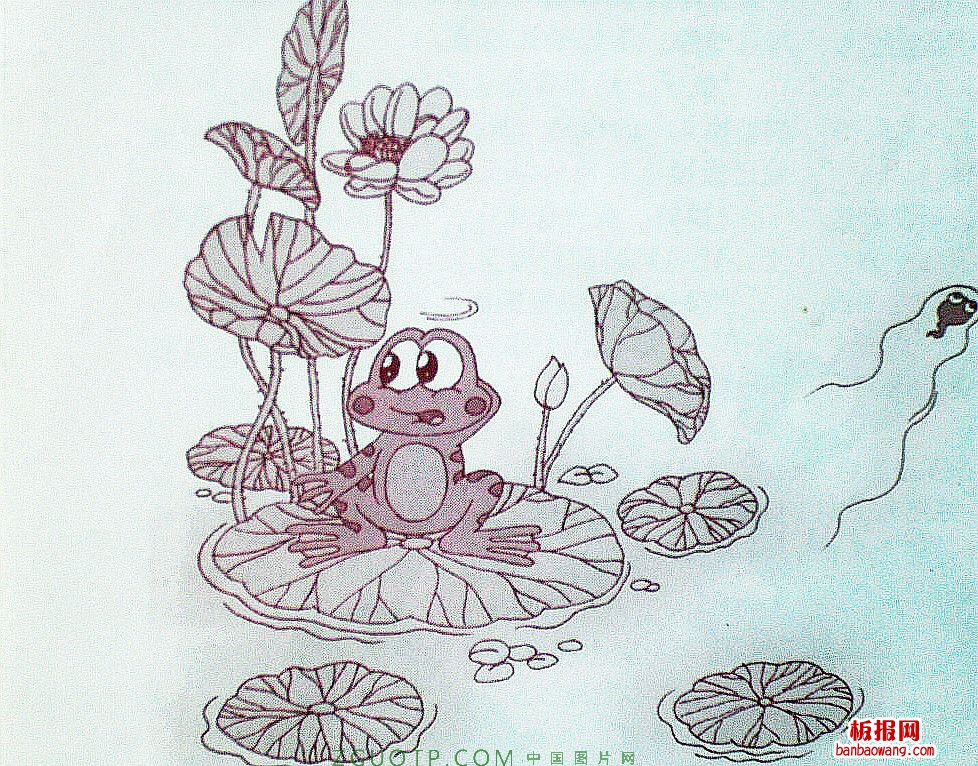 手抄报插图：卡通动物 小青蛙