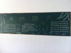 小学生森林日黑板报设计