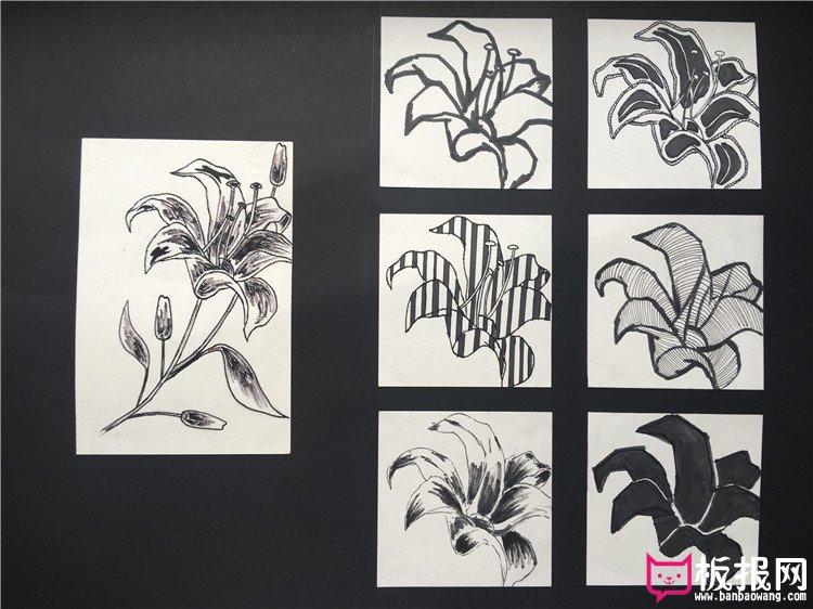 黑白花卉图案素材，装饰图案