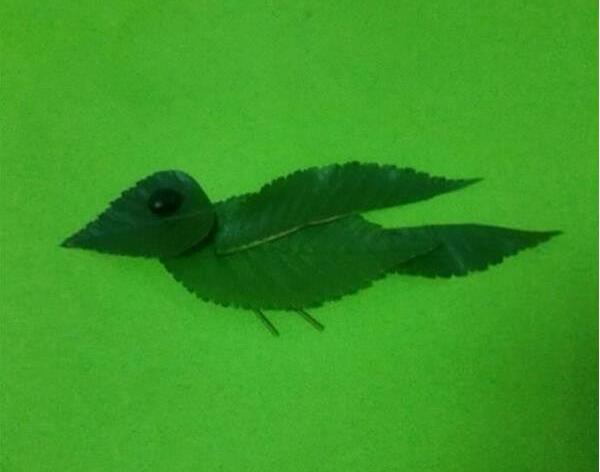 简单的儿童树叶贴画制作方法，飞翔的小鸟