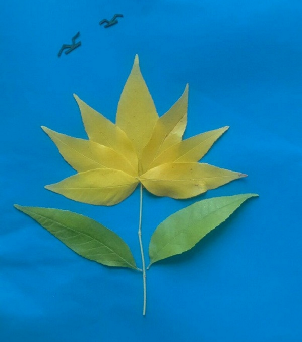 漂亮的儿童树叶贴画制作方法，金菊