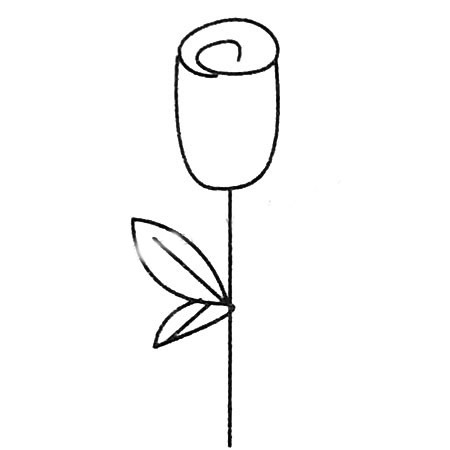 简单的简笔画教程，玫瑰花怎么画