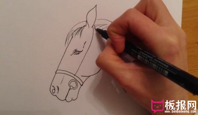 实用的动物简笔画教程，马头简笔画