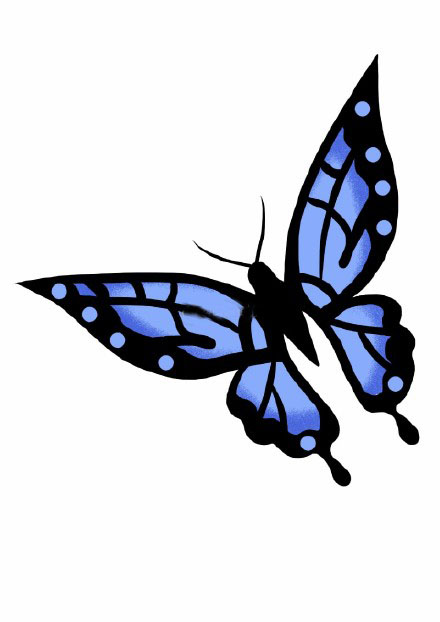 蝴蝶怎么画？漂亮的蓝色蝴蝶简笔画教程