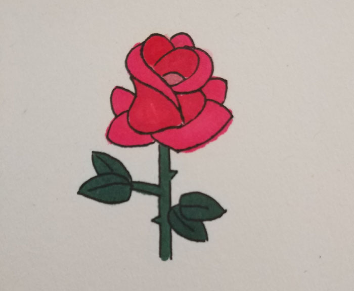 一步一步教我画玫瑰花，超级简单的玫瑰花简笔画画法