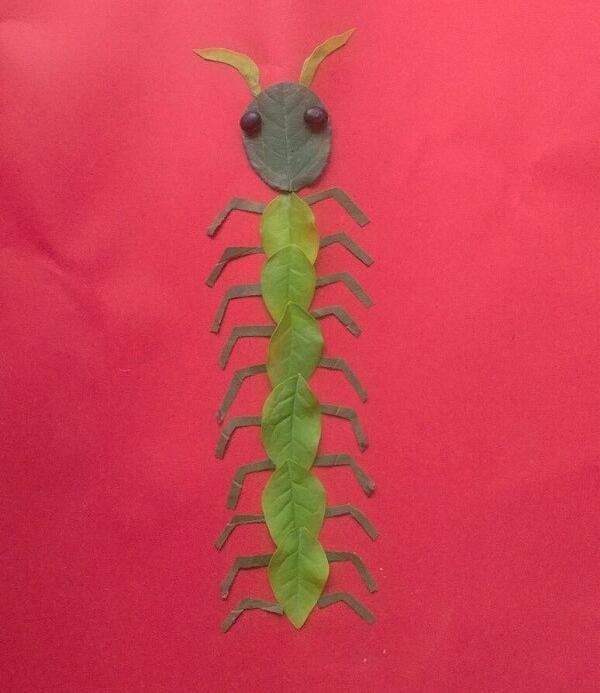树叶拼一个简单小动物，蜈蚣树叶拼贴画