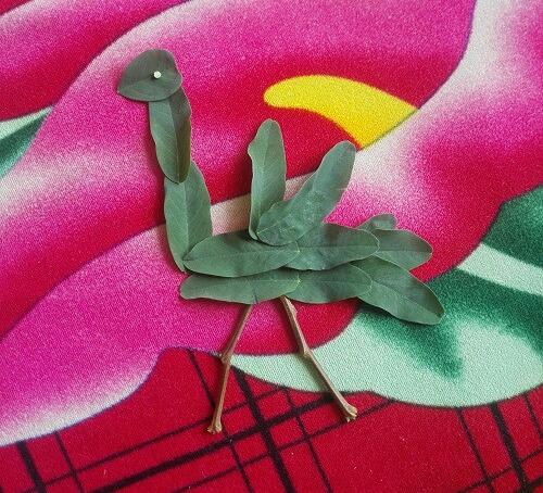简单儿童树叶贴画图片，奔跑的鸵鸟