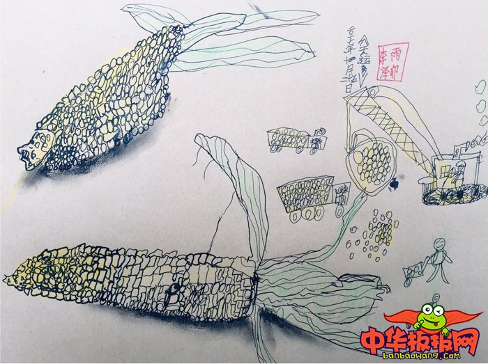 儿童创意美术作品图片，我们的玉米家