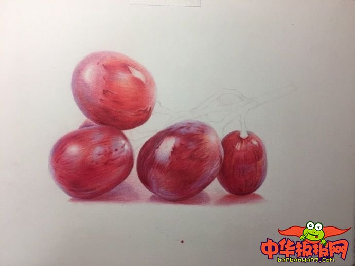 彩铅水果画教程图解，适合新手临摹的红提彩铅画