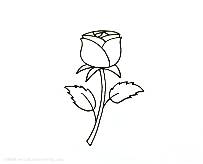 最简单的玫瑰花的画法_最简单漂亮玫瑰花束的画法带颜色 玫瑰花简笔画