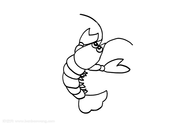 儿童小虾的画法