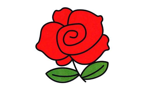 [简笔画]玫瑰花的简笔画画法是什么