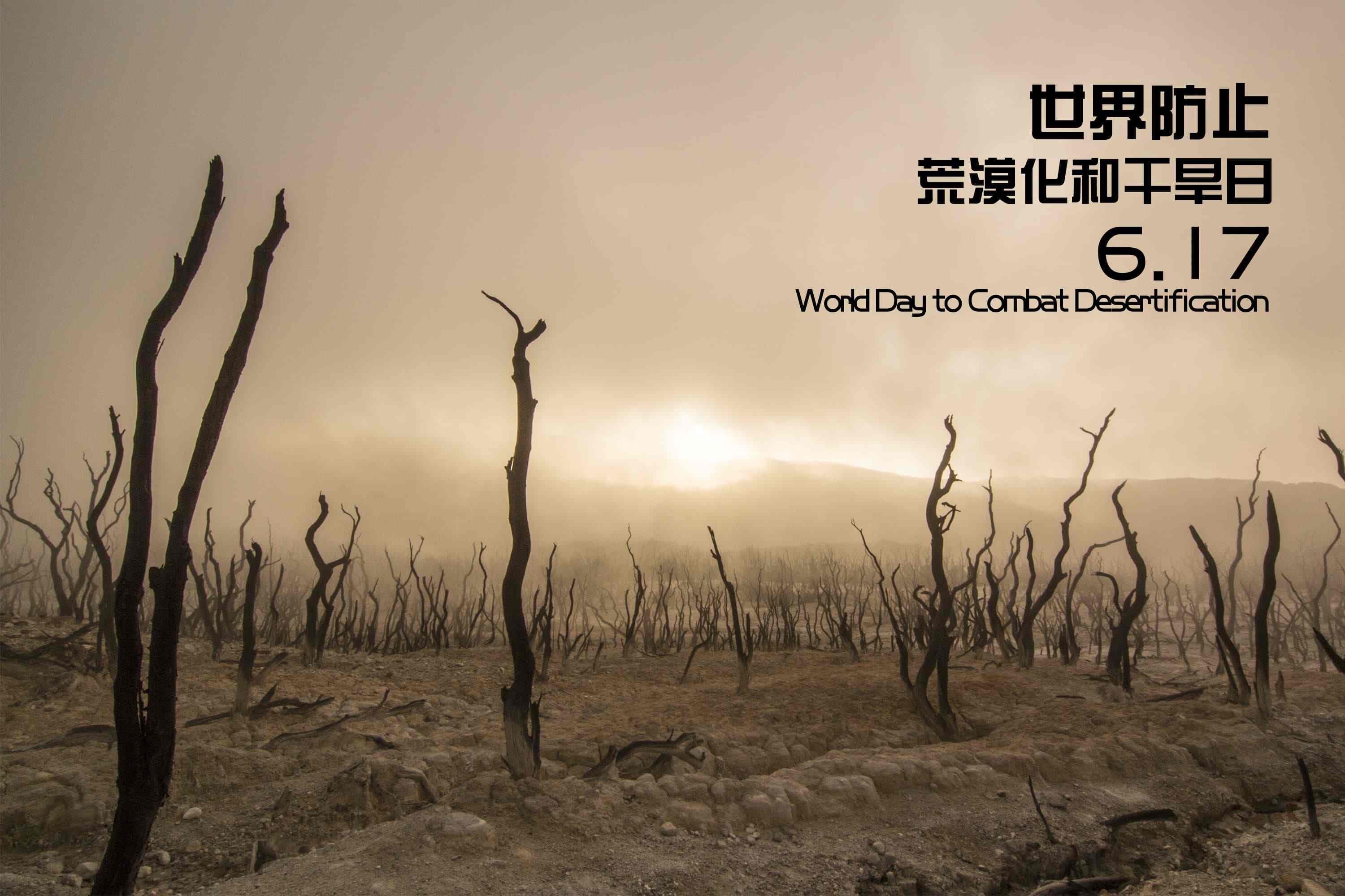 2020世界防治荒漠化和干旱日的节日小知识