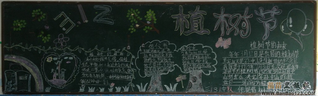 小学生植树节黑板报图片