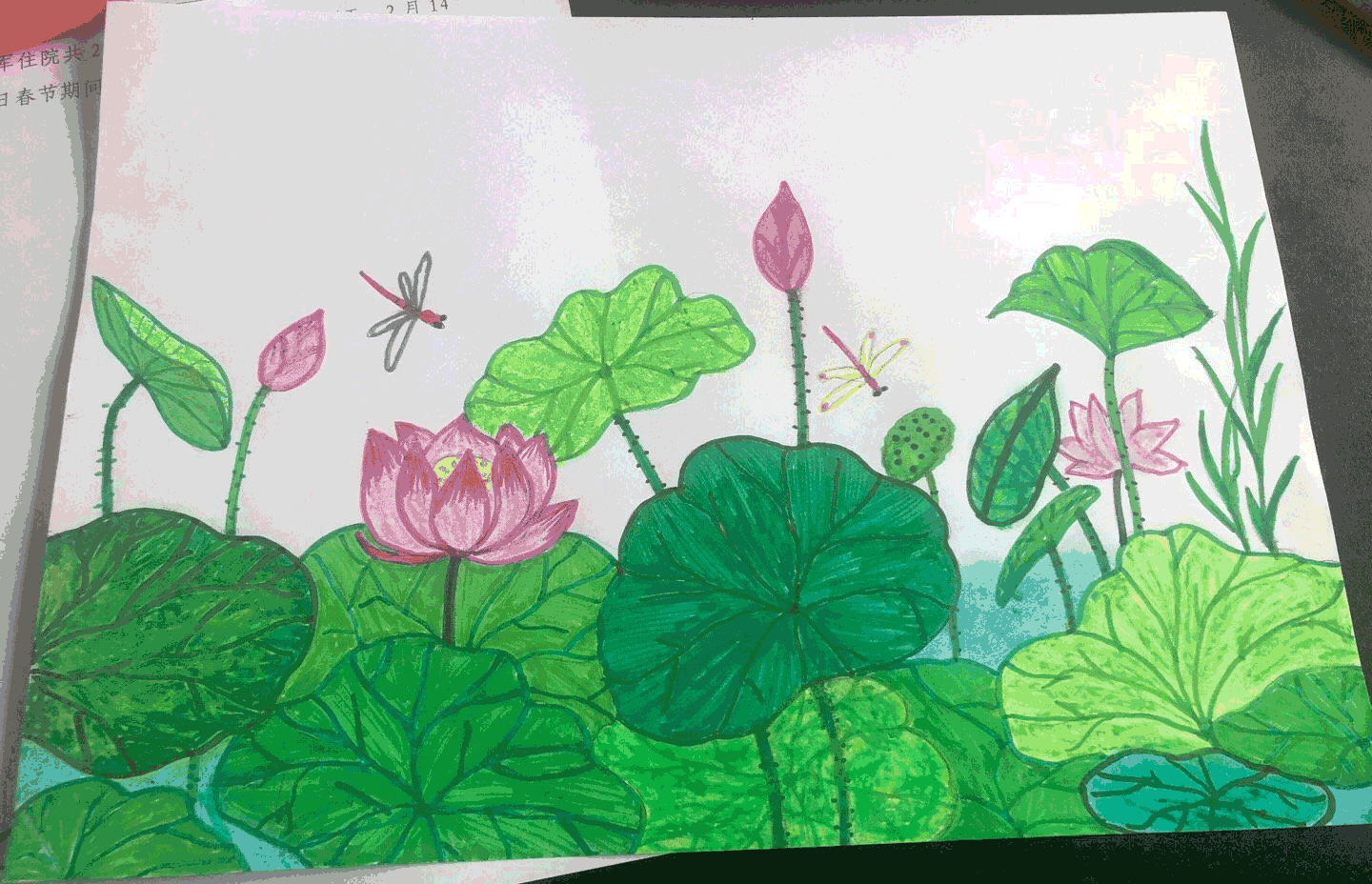 儿童水彩画:荷花与蜻蜓