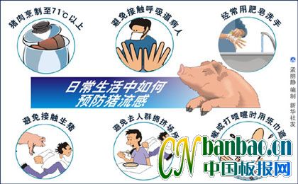 如何在日常生活中预防猪流感:展板设计