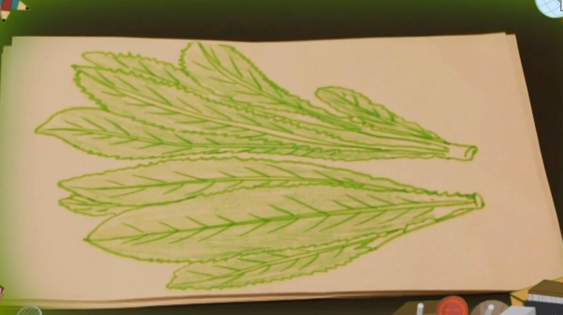 教你怎么画油麦菜儿童画视频