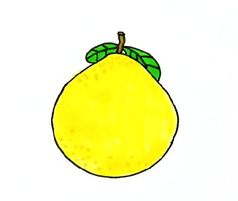 柚子简笔画图片 柚子怎么画的