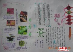 传统文化手抄报,茶叶
