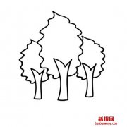 树的简笔画三棵大树的简易画法