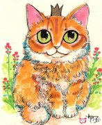 毛茸茸的猫咪儿童画，好看的儿童画图片
