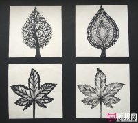漂亮的树叶图案，树叶图案设计素材