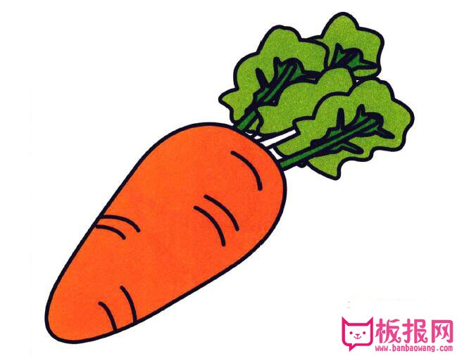 胡萝卜简笔画图片，胡萝卜的画法