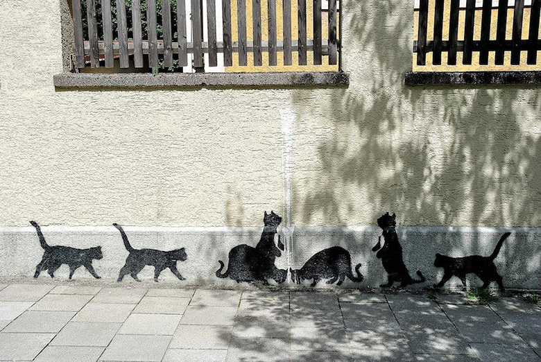 猫咪涂鸦艺术