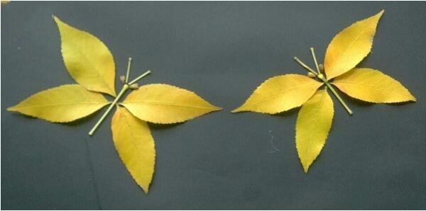 简单的树叶拼贴画教程，漂亮的蝴蝶