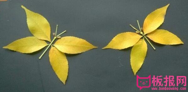 简单的树叶拼贴画教程，漂亮的蝴蝶