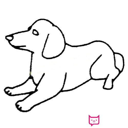 简单的动物简笔画教程，小狗简笔画