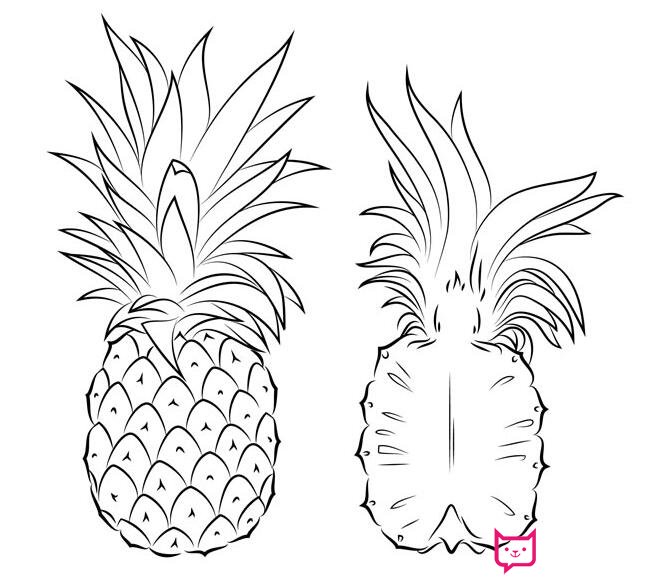 好看的水果简笔画图片，菠萝简笔画
