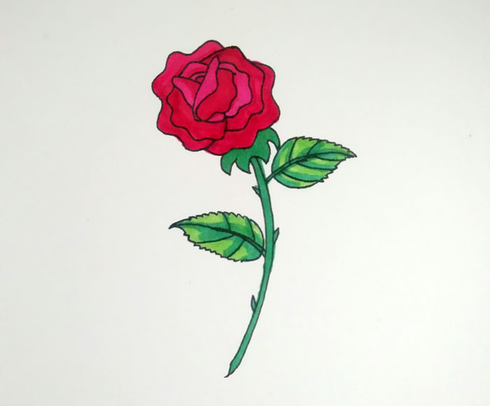 一步一步教我画玫瑰花，画玫瑰花的步骤