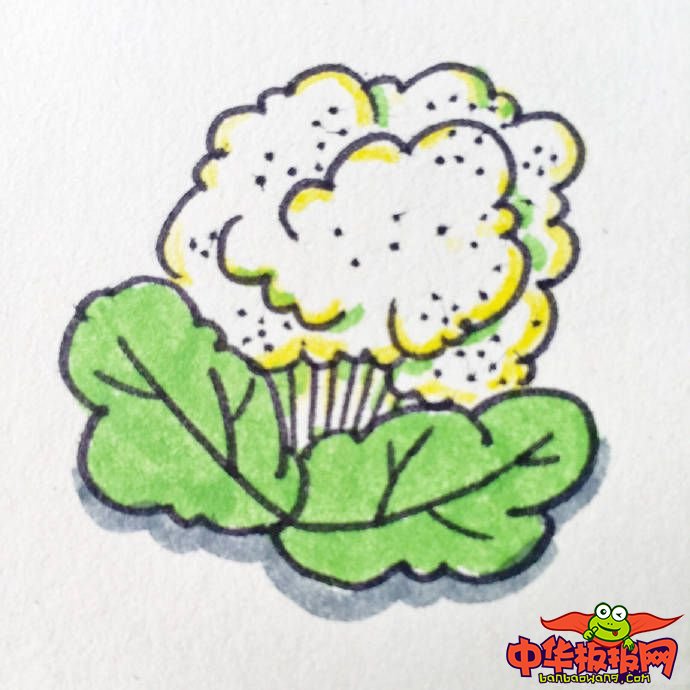 蔬菜简笔画图片带颜色，各种蔬菜简笔画画法