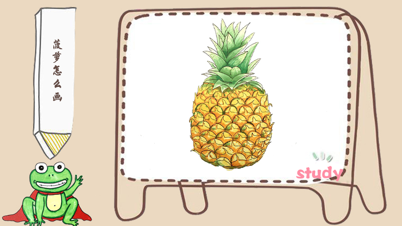 菠萝怎么画简单又好看