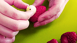 水果小鸡DIY图解教程 可爱苹果草莓小鸡的做法
