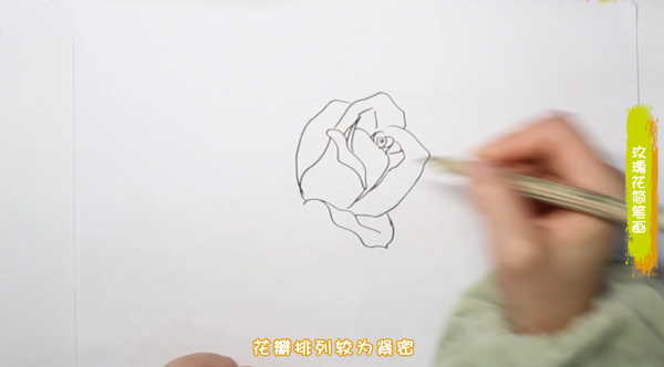 玫瑰简笔画图片如何画一朵简单的玫瑰？