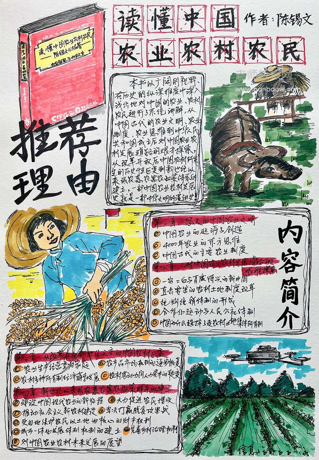 《读懂中国农业农村农民》主题手抄报绘画图片