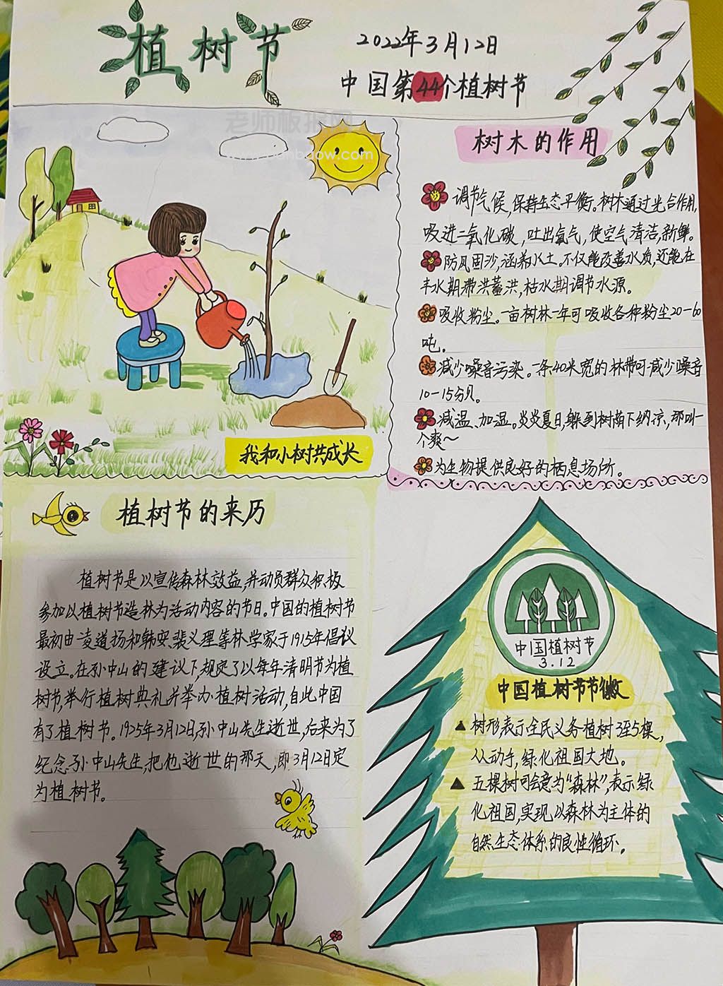 简洁美观《中国植树节》手抄报绘画图片