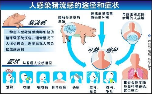 人类感染甲型H1N1流感的途径和症状
